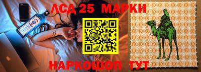 PSILOCYBIN Краснодар