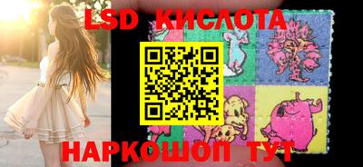 PSILOCYBIN Краснодар