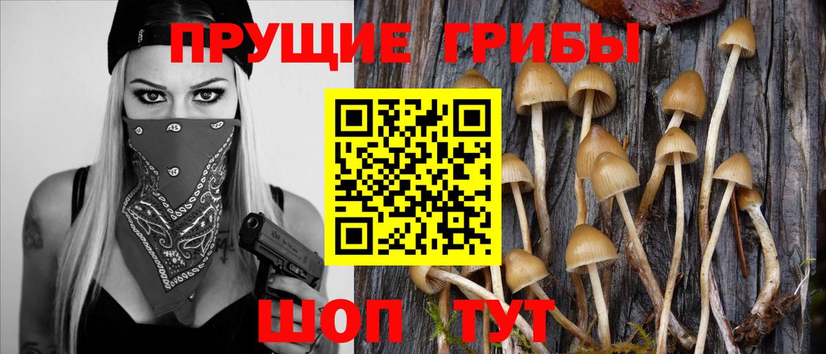 Касимов  Псилоцибиновые грибы GOLDEN TEACHER  Вход с VPN 